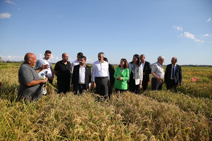 Edirne'de "Çeltik Tarla Günü" etkinliği düzenlendi