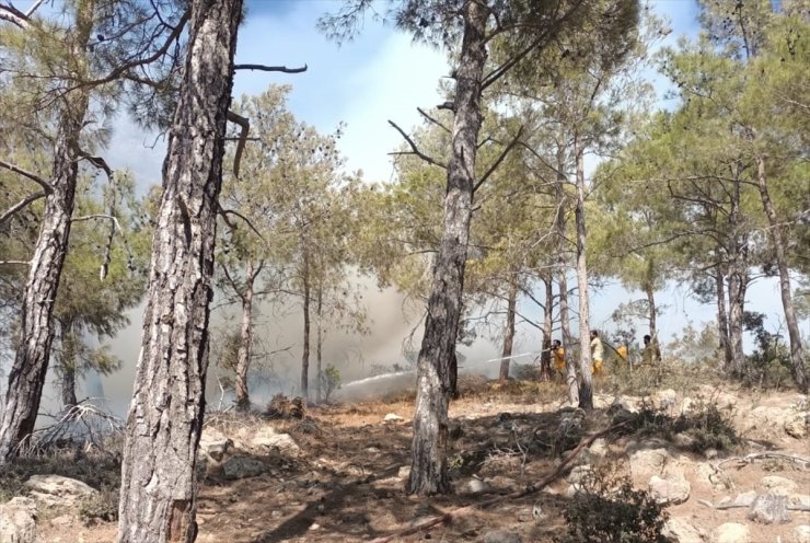 Mersin'de çıkan orman yangını kontrol altına alındı