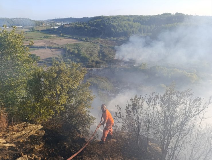 Antalya'da ormanlık alanda çıkan yangına müdahale ediliyor