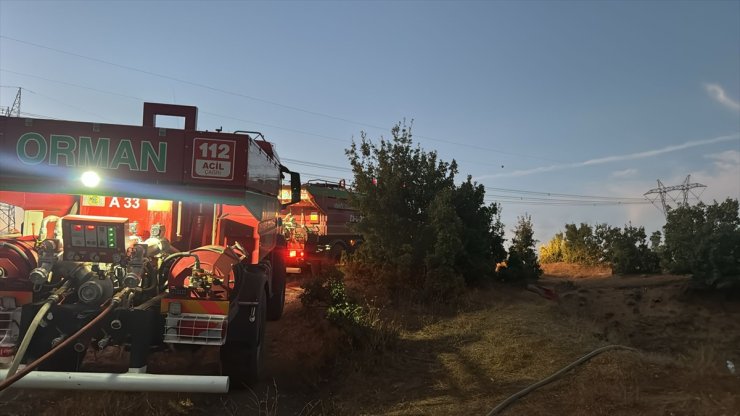 Bingöl'de ormanlık alanda çıkan yangın söndürüldü