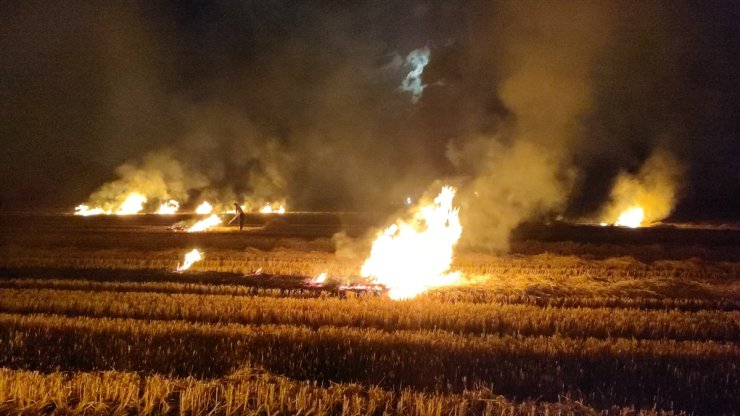 Samsun'da tarım arazisinde çıkan yangın söndürüldü