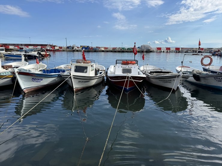 Tekirdağlı balıkçılar Marmara'da umduğunu bulamayınca rotayı Karadeniz'e çevirdi