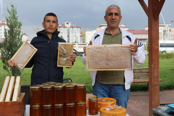 Ağrı'da coğrafi işaretle tescillenen geven balının tanıtıldığı festival başladı