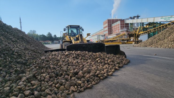 Amasya Şeker Fabrikası'nda 71. pancar alım kampanyası için tören düzenlendi