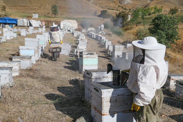 Ordulu arıcı çift Hakkari dağlarında "en iyi bal" için mesai yapıyor