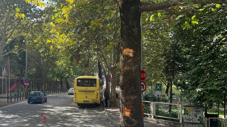 Bursa'da ağaca çarpan otobüsteki 5 yolcu yaralandı