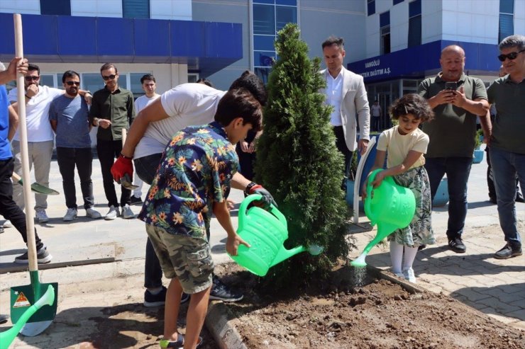 TEDAŞ çalışanları, '30. Yıl Hatıra Ormanı' projesiyle 7 ilde fidan dikti