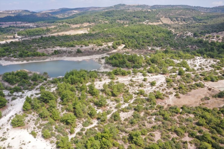 Manisa'daki "Osmancalı Fosil Ormanı" tabiat anıtı ilan edildi