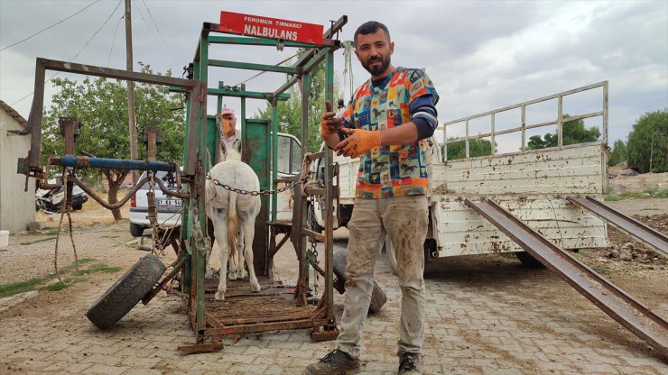 "Nalbulans" ile sahipsiz hayvanlara ücretsiz tırnak bakımı