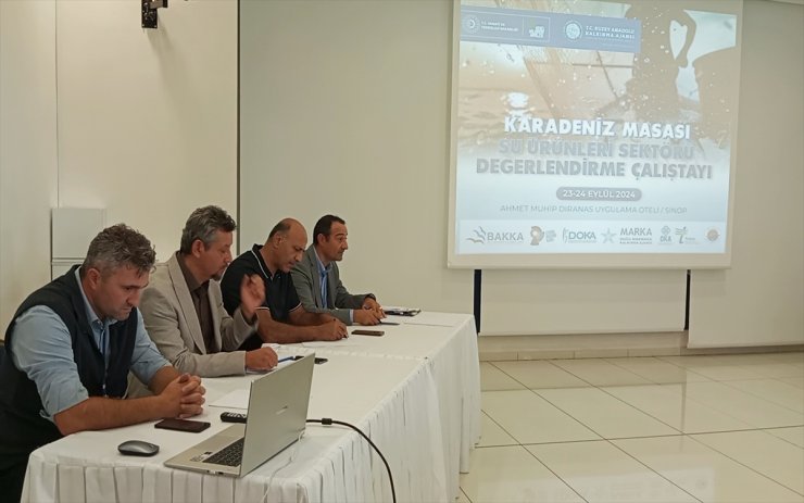 Karadeniz'deki su ürünlerinin geleceği Sinop'taki çalıştayda tartışıldı