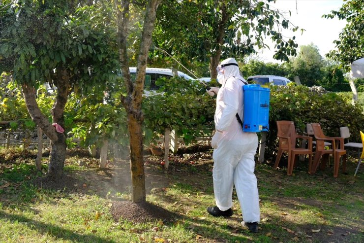 Samsun'da çiftçilere kahverengi kokarca ile mücadele yöntemleri anlatıldı