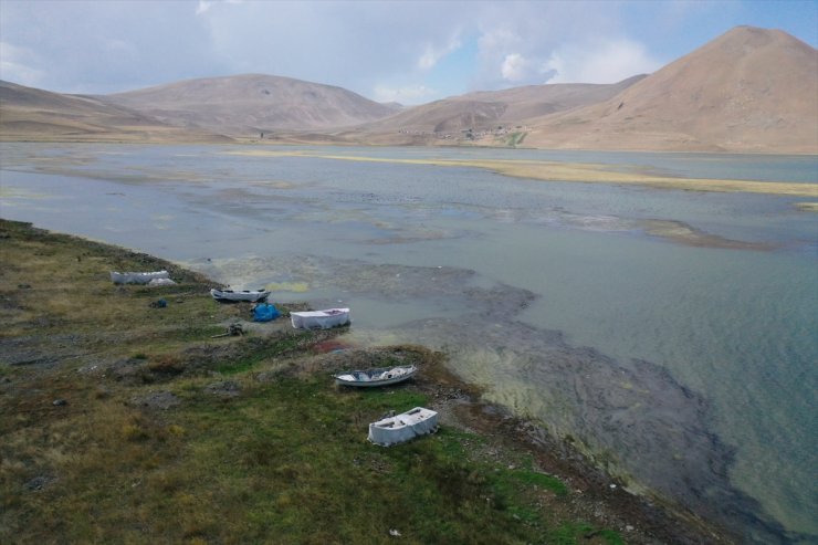 Suyu çekilen ve yosun tutan Balık Gölü'nde "canlı yaşamı" tehlikede