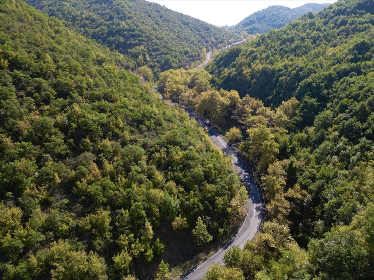 Tekirdağ'daki Ganos Dağı'nın eteklerinde sonbaharın renkleri hakim olmaya başladı