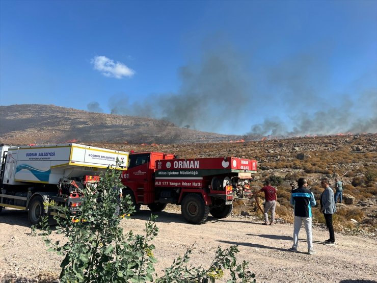 Bodrum'da otluk alanda çıkan yangın söndürüldü