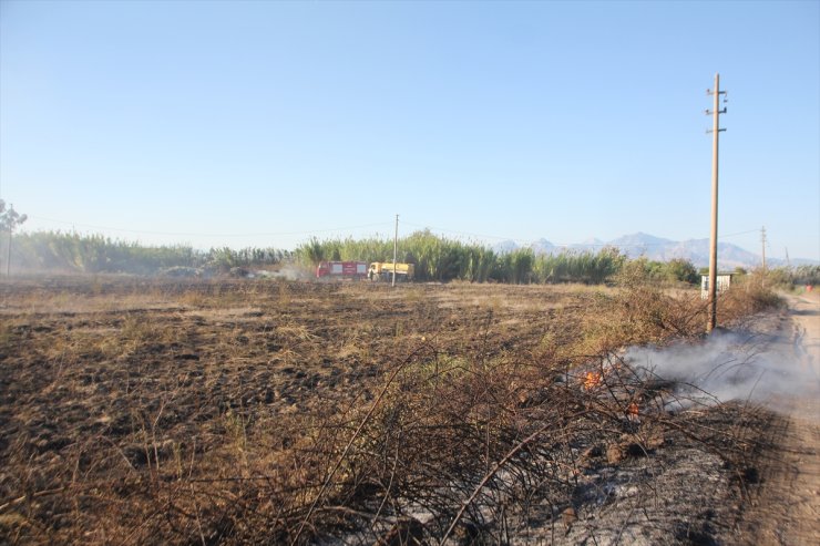 Antalya'da sazlık alanda çıkan yangın söndürüldü