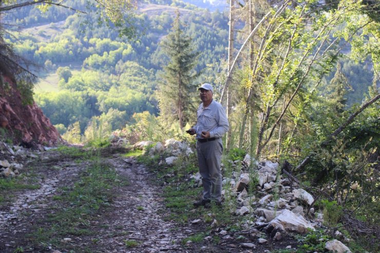 Artvin'de Kutlu köyü bağlığı ve civarındaki kazılar devam ediyor