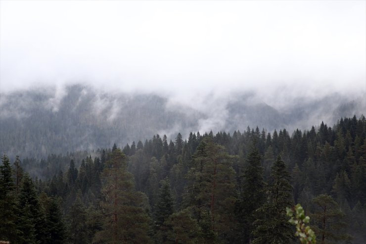 Ilgaz Dağı'nda sis etkili oldu