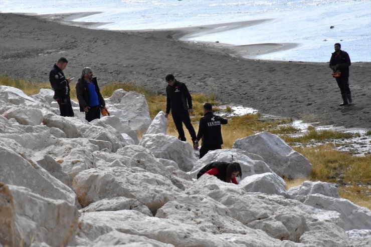 Van'da kaybolan üniversite öğrencisini arama çalışmaları devam ediyor