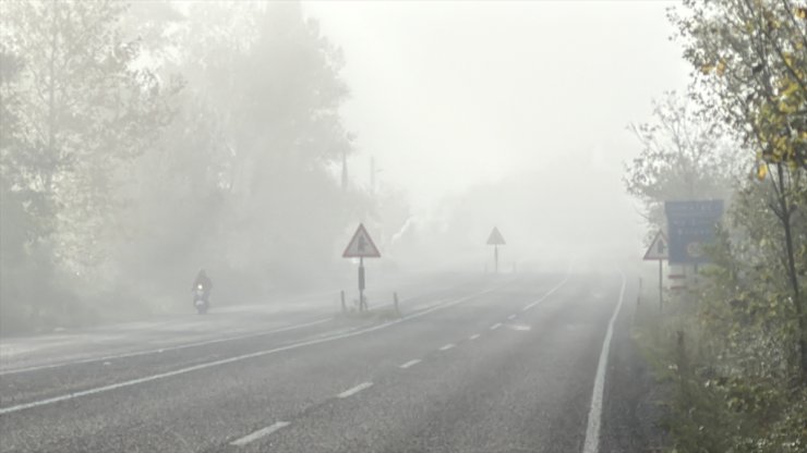 Bolu, Düzce ve Bartın'da sis görüş mesafesini düşürdü