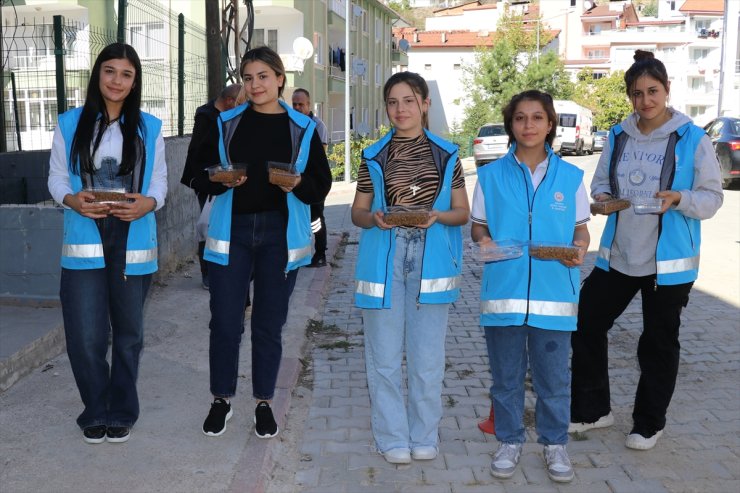 Amasya'da sokakları gezen öğrenciler kedi ve köpekler için mama ve su bıraktı