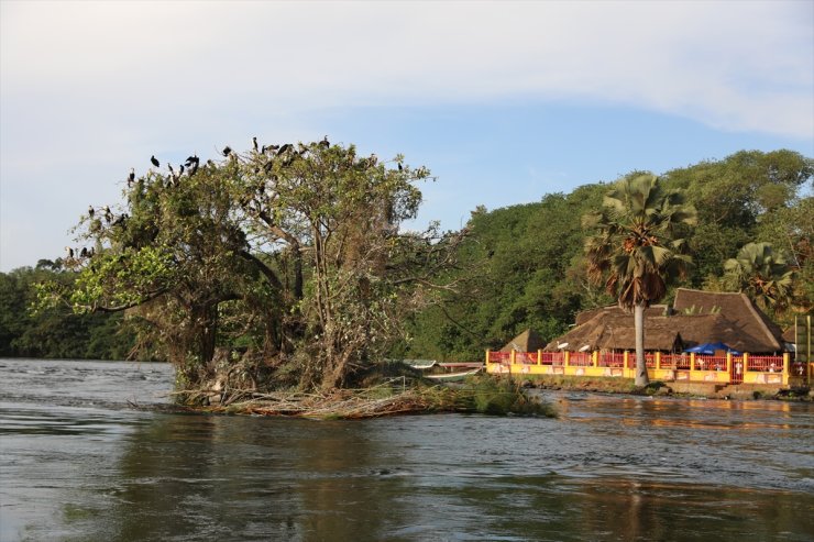 Bereket ve uygarlığın kaynağı Nil Nehri, Uganda ve Etiyopya'dan Akdeniz'e dökülüyor