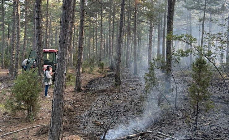 Kütahya'da yıldırım isabet eden ormanlık alanlarda çıkan yangınlar söndürüldü