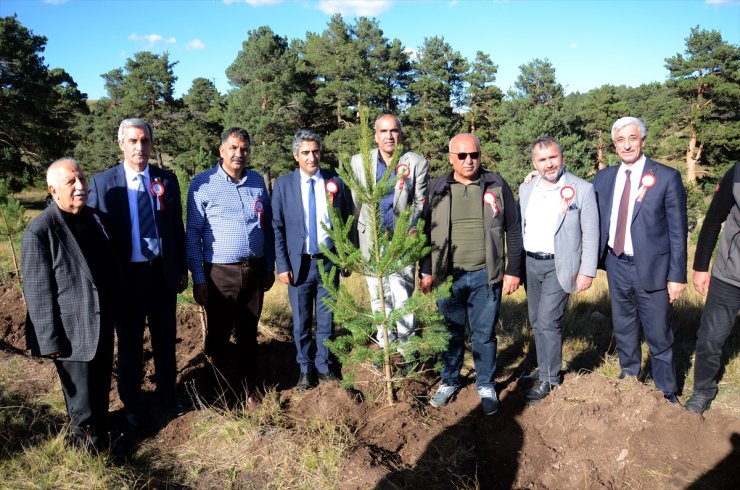 Kars'ta Sarıkamış ve Çanakkale şehitleri anısına hatıra ormanı oluşturuldu