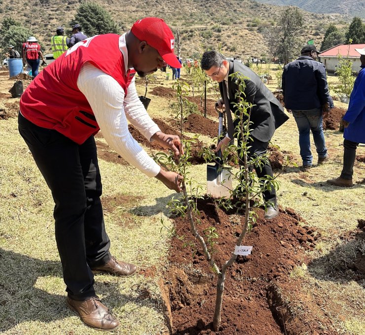 TİKA, Lesotho Krallığı'na 2 bin fidan hibe etti