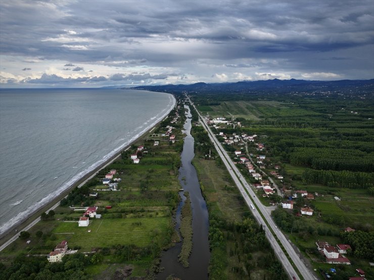 Samsun'daki "Miliç Lagünü" doğal güzellikleri ve biyolojik çeşitliliğiyle dikkati çekiyor