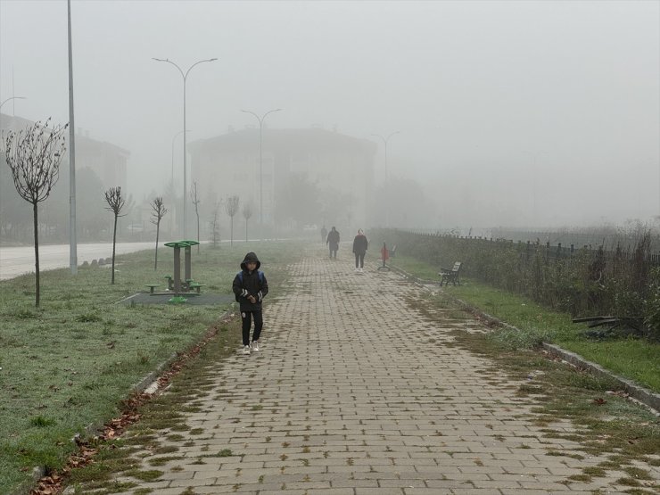 Düzce'de sis etkili oldu