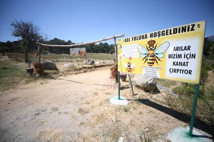 Kazdağları'ndaki apiterapi merkezi kovandan gelen hava ve kanat sesiyle rahatlatıyor