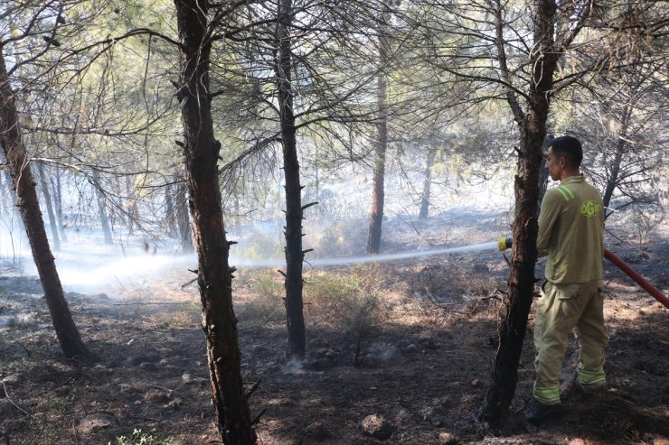 Hatay'da ormanlık alanda çıkan yangın söndürüldü