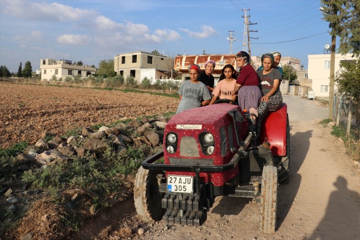 Kilis'in köylerinde çiftçilik yapan kadınlar, kırsal kalkınmada aktif rol üstleniyor