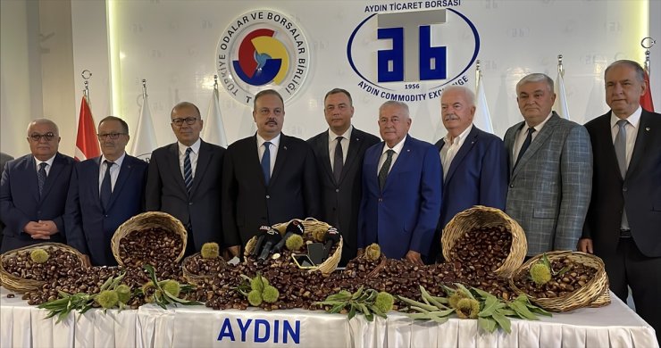 Aydın'da sezonun ilk kestaneleri kilogramı 500 liradan satıldı