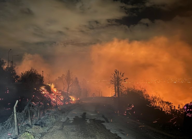 Adana'da çıkan orman yangınına müdahale ediliyor