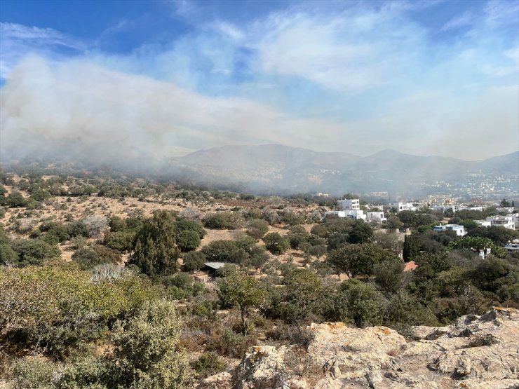 Bodrum'da çıkan yangında 5 hektar makilik zarar gördü