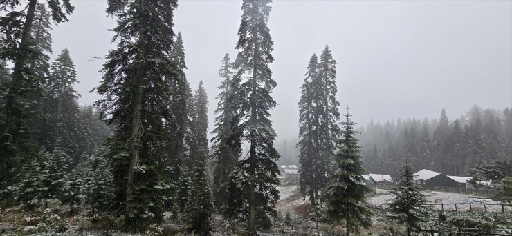 Düzce ve Bolu'nun yüksek kesimlerinde kar yağışı etkili oldu