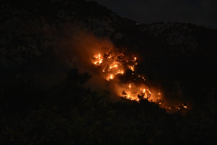 İzmir’de çıkan orman yangını kontrol altına alındı