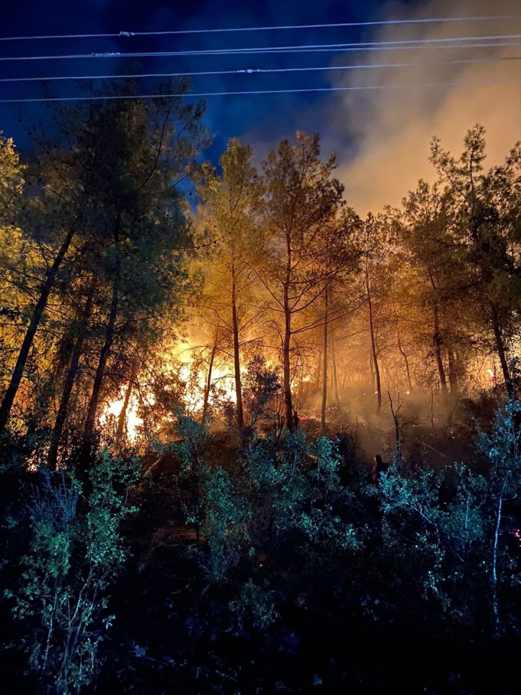 Muğla'da çıkan iki orman yangınına müdahale ediliyor