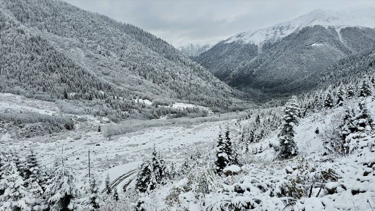 Rize'de yaylacıların köye dönüş yolculuğu devam ediyor