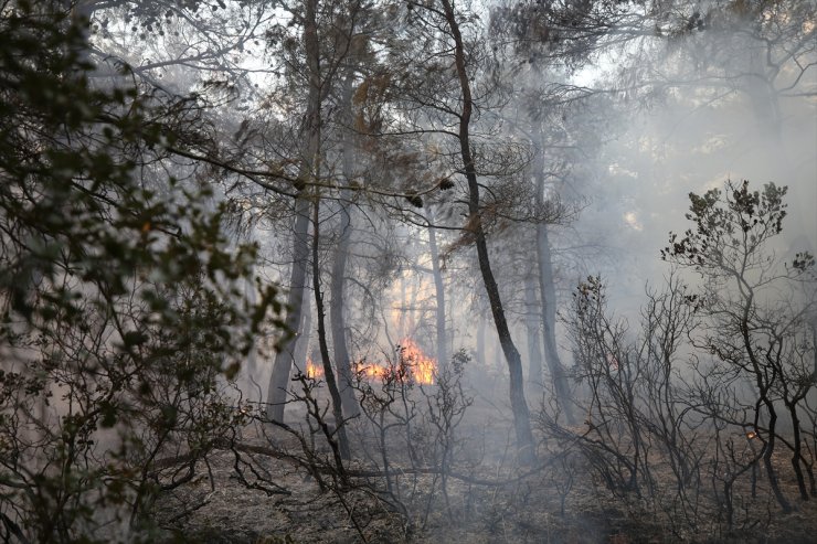 Çanakkale'de çıkan orman yangını kontrol altına alındı