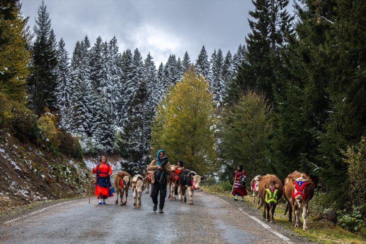 Doğu Karadeniz'de kar yağışı yaylalardan dönüşü hızlandırdı