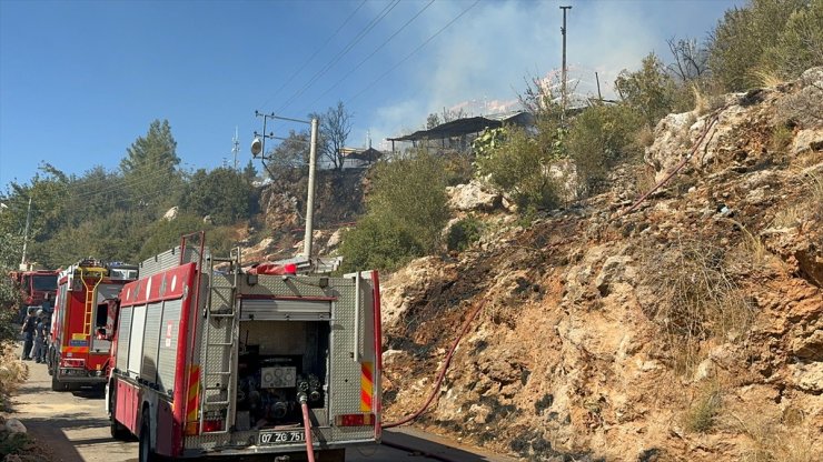 Antalya'da ağılda çıkan yangında 50 küçükbaş hayvan telef oldu