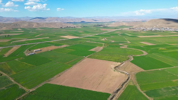 Bayburt'un modern sulamayla buluşan çorak arazilerinde üretim bereketi