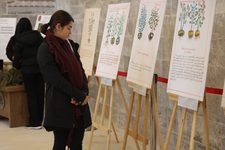 Meksika'nın tıbbi bitkileri Nevşehir'deki resim sergisinde tanıtıldı