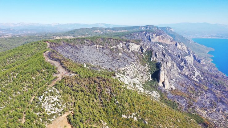 Menteşe'de ormancılar 6 kilometre "yangın şeridi" açarak alevlerin önünü kesti