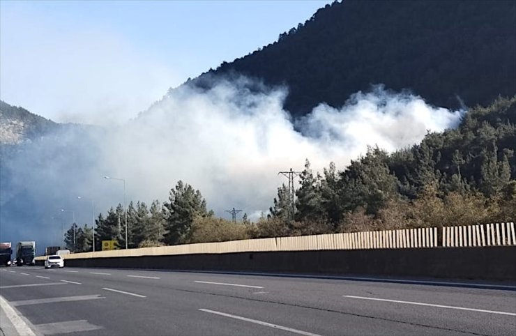 GÜNCELLEME - Mersin'de ormanlık alanda çıkan yangın kontrol altına alındı