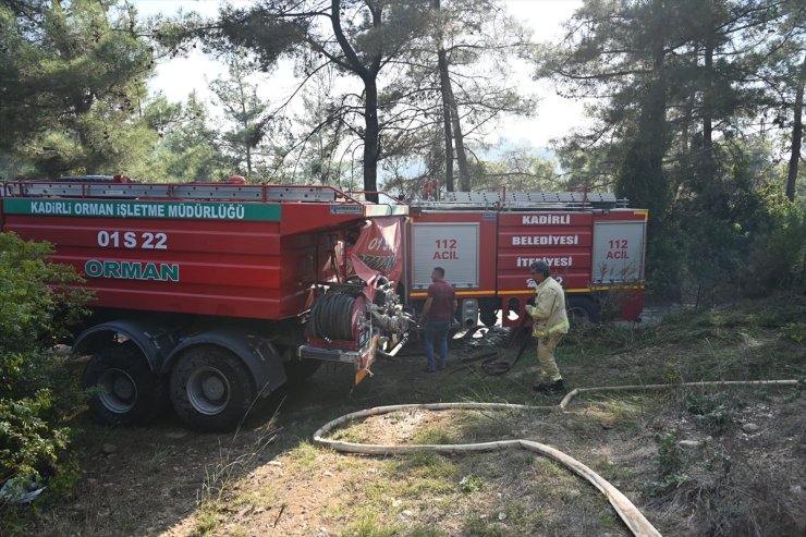 Osmaniye'de çıkan orman yangını söndürüldü