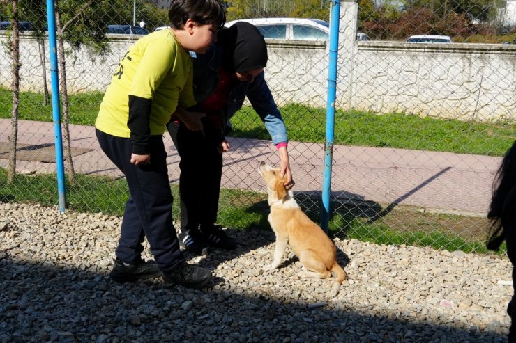 Düzce'de rehabilitasyon merkezindeki köpek yavrusunu engelsiz yaşam merkezi sahiplendi