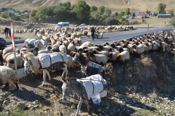 Muş'ta göçerler havanın soğumasıyla dönüş yolculuğuna başladı